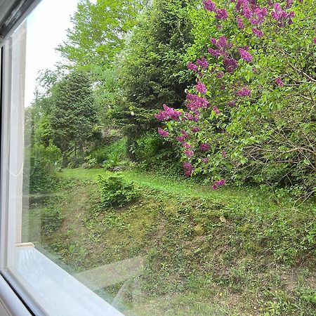 Apartman Rosniarka Banská Štiavnica Zewnętrze zdjęcie